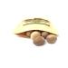 Ceylon Whole Nutmeg 2 oz - Organically Harvested, Aromatic Flavor Enhancer for Cooking - Buy Online on SooperMarket.com