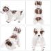 Buy Petcute XXL Waterproof Dog Raincoat - Transparent Breathable Hooded Rain Coat for Medium & Large Dogs - Buy Online on SooperMarket.com