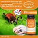 Saintnutrition Anti Tick Globules for Dogs & Cats | Natural Pet Treatment & Immediate Protection - Buy Online on SooperMarket.com