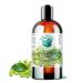 Green Coffee Bean Oil 473 ml Rich in Antioxidants Natural Moisturizer Versatile Use Bella Terra Oils