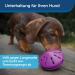 PetSafe Twist-n-Treat Dog Toy | Fillable Treat Toy | Customizable Dispensing & Dishwasher Safe | Purple L - Shop Now for International Shipping! - Buy Online on SooperMarket.com