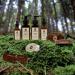 Arrison Beard Kit - Premium Italian Beard Care Set | Shampoo Oil Beech Wood Brush | Perfect Gift for Men - Buy Online on SooperMarket.com