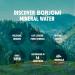 Buy Borjomi Sparkling Natural Mineral Water - 25.3 Fl Oz Plastic Bottles (Pack of 6) | International Shipping Available - Buy Online on SooperMarket.com