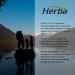 Herba NAC Supplement 600mg 120 Vegetable Capsules | N-Acetyl-L-Cysteine | NAC Supplement 600 mg for Antioxidant | Premium & Pure | Made in Canada | 120 Capsules - Buy Online on SooperMarket.com