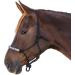 WALDHAUSEN Knotted Halter for Ponies - Black Pearls | Premium Quality Equestrian Gear | International Shipping Available - Buy Online on SooperMarket.com