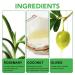 Rosemary Conditioner for Hair Growth | Strengthening Mint Formula with Biotin & Coconut for Healthy Thinning Hair - Buy Online on SooperMarket.com