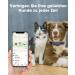 Simplethings Waterproof AirTag Dog Collar - Anti-Loss Silicone Holder for Apple AirTag - Black M-22mm - Perfect for Cats & Dogs - Buy Online on SooperMarket.com