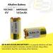 Buy 2x Exell A28PX Alkaline 6V Battery - Replaces PX28A A544 & More | Fast International Shipping - Buy Online on SooperMarket.com