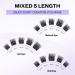 Cluster Eyelash Extensions - D Curl Mixed Individual Lashes 0.07mm 12-16mm | Soft Fluffy DIY Lash Extensions - Wendy Lash Clusters - Buy Online on SooperMarket.com