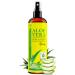 Aloe vera spray for skin & hair - 99% organic 355 ml - 100% natural pure & without additives - without thickener quickly pulls in without residues - not powder 355 ml (1 Pack)