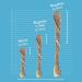 SKIPPER'S Fish Skin Twists Regular Dog Chews for Teeth 250g - Handmade & Gently Air- Dried - Healthy & Natural Dog Dental Sticks Long Lasting - Hypoallergenic & Grain Free Regular 250 g (Pack of 1) - Buy Online on SooperMarket.com