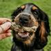 SKIPPER'S Fish Skin Twists Regular Dog Chews for Teeth 250g - Handmade & Gently Air- Dried - Healthy & Natural Dog Dental Sticks Long Lasting - Hypoallergenic & Grain Free Regular 250 g (Pack of 1) - Buy Online on SooperMarket.com