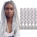 Tess Braids Extensions 60 cm 5 Pack Jumbo Braids Kanecalon Kunsthaar For single-laid box braids hair extension braid 100g/bundle of hair braids extension (5 pieces-silver white) 60 cm (5 pieces) #7 Silbrig white