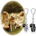 KALIONE 2 Pcs Pet Urns Keychain Dog Urns for Ashes Dogs Ashes Keepsake Stainless Steel Small Pet Urns for Dogs Cat Ashes Urns with Storage Bags Pet Cremation Jewelry Pend Paw Print Urn - Buy Online on SooperMarket.com