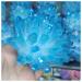 Crystals 1pc Rare Beautiful Ky Blue Phantom Quartz Crystal Cluster Ore Sample Cured Home Office Decoration Gift Stone Collection (Size : 400-450g)
