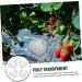 STOBOK 4pcs Melon Forming Gardening Major Molds Garden Design Plastic Fruit Heart Tools Small Strawberry - Buy Online on SooperMarket.com
