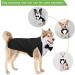 Dog Tuxedo and Bandana Set Dogs Formal Tuxedo PET Wedding Party Suit Wedding Bow Tie Shirt for Wedding Christmas Birthday Costumes (Cute Style M) Cute Style M - Buy Online on SooperMarket.com