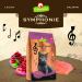 Granapet Symphony No.2 Salmon Cat Food - Cereal & Sugar-Free Tasty Dry Food 300g Pack - Buy Online on SooperMarket.com