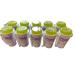 GITABI OMG BUBLE TEA 10x270ML - Normal Is Boring Fruit Bubble Tea Kit with Bubbles and Straws Set Passion Fruit Syrup and Popping Apple Flavour Bubbles