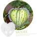 OSALADI Plant Plastic Fruit Clear Fruit Yard Fruit Fruit Forming Heart-Shaped Pumpkin - Buy Online on SooperMarket.com