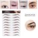 6D Waterproof Eyebrow Sticker - Professional Eyebrow Transfer Tool for Women & Girls | Brown | International Shipping - Buy Online on SooperMarket.com