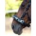 Heinick-Reitsport Professional Leather Cavesson - Black Stainless Steel Bit Strap Nosepiece for Thoroughbreds | International Shipping Available - Buy Online on SooperMarket.com