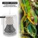 Ceramic Heat Emitter 100W Heat Lamp for Chicks Bird Heater for Cage Infrared Heating for Pet No Light Emitting for Amphibian Pet Brooder Coop Incubating Chicken - Buy Online on SooperMarket.com