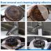 Foam Rust Remover Multi-Purpose Foam Cleaner Rust Remover Kitchen General Cleaning Powder Rust Removal and Polishinglasting Shiny 1 PCS - Buy Online on SooperMarket.com