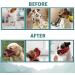 Shop Wllhyf Soft Nylon Dog Muzzle | Breathable & Comfortable Biting Chew Prevention | Adjustable Muzzle for Small Dogs (Red M) - Buy Online on SooperMarket.com