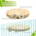 Reyshin Bird Seating Board Set - 4 Pieces Bird Playground Accessories with 5 Rat Balls for Budgies Canaries and Lovebirds - Ideal Bird Cage Toys - Buy Online on SooperMarket.com