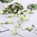 Jasmine tea 3.52 ounces/100g Caffeine-free Dried jasmine flowers are suitable for making tea Whole bud of edible flowers Jasmine bud jasmine tea loose leaf - Buy Online on SooperMarket.com