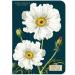 Shop Botany Mini Notebooks | Stylish Eco-Friendly & International Shipping - Buy Online on SooperMarket.com