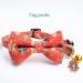 2 Pack Breakaway Christmas Cat Collars with Bow Tie - Red & Green - Buy Online on SooperMarket.com