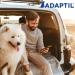 ADAPTIL Spray 20 mL Dog Calming Pheromone Spray by ADAPTIL for Dogs to Help Calm & Comfort During Travel or Stressful Events - The Original Dog Appeasing Pheromone Spray (ADAPTIL Spray C956 1-Pack) - Buy Online on SooperMarket.com