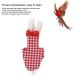 Buy Entatial Parrots Pilot Suit - Red Grid Waterproof Bird Tights for ARA & Budgies (L) - Perfect for Pet Protection - Buy Online on SooperMarket.com