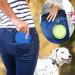 Buy Zuofeng Reisenapf Foldable Dog Water Bowl - Portable Silicone Feeding Set for Cats & Dogs | 3 Colors: Blue Green Red | International Shipping Available - Buy Online on SooperMarket.com