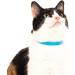 Nuvuq Soft & Light Cat Collar with Breakaway Snap Button - Blueberry Blue - Buy Online on SooperMarket.com