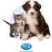 PetAg Petlac Milk Powder 300g - Ideal Milk Replacer for Orphaned Animals - Similar to Mother's Milk - Formulated for Optimal Nutrition - Buy Online on SooperMarket.com