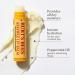 Burts Bees Beeswax Bounty Lip Balm Gift Set - 0.15 OZ | Natural Ingredients - Buy Online on SooperMarket.com