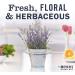 Buy Mrs. Meyer's Lavender Glass Cleaner 24 fl. oz. - Eco-Friendly & Effective for International Shipping - Buy Online on SooperMarket.com