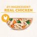 CESAR Wholesome Bowls Wet Dog Food Chicken Sweet Potato & Green Beans 85g Pack of 10 Chicken Sweet Potato & Green Beans 85 g (Pack of 10) - Buy Online on SooperMarket.com