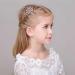 8 PCS Mini Crystal Rhinestone Princess Crown Hair Comb Set for Girls - Perfect Birthday Party Hair Decoration - Buy Online on SooperMarket.com