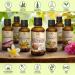 Fractionated Coconut Oil 50ml - 100% Pure & Natural Odorless Beauty Oil for Skin Hair & Massage - Best Essential Oil for Body & Facial Care - Buy Online on SooperMarket.com