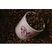 Blended Gift Box - Roasted Coffee Starter Set (Wholebean) - Buy Online on SooperMarket.com