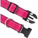 Joytale Reflective Dog Collar for Small Dogs - Hotpink S | Durable Stylish & Safe - Buy Online on SooperMarket.com