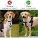 Vancle 2-Piece Silicone Airtag Case for Dog Collar - Waterproof Pet Loop Holder Black & Navy Blue - Buy Online on SooperMarket.com