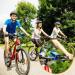 Buy Lytivagen 8-Piece Bike Silicone Band Set Elastic Flashlight & Bottle Holder for Bicycle Handlebars - Buy Online on SooperMarket.com