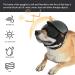 1 Small Pet Sunglasses Dog Overhead Goggles Pet Sunglasses Uv Protection Adjustable Elastic Headband (small Size) - Buy Online on SooperMarket.com