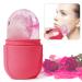 Ice Face Roller  Facial Ice Roller Mold for Face & Eye Puffiness Relief  Reduce Wrinkles & Brighten Your Skin & Shrink Pore  Reusable Facial Treatment Beauty Tool  Women's Gift Capsule Pink
