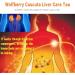 Goji Berry Cuscuta Health Tea - Chinese Wolfberry And Dodder Seed Health Tea Wolfberry Cuscuta Health Tea Chinese Liver Care Tea Men'S Essentials Five Flavors Goji Berry Tea Individual Tea Bag (2 Box) - Buy Online on SooperMarket.com
